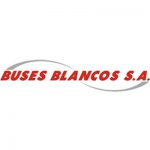 BUESES BLANCOS